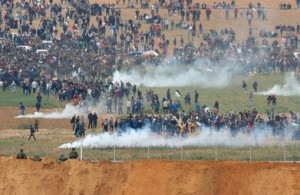 6. Gaza